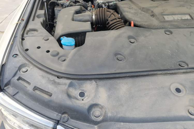 Used Tank 500 New Energy 2024 Hi4-T Engine Bay Right