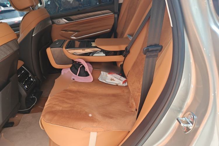 Used Tank 500 New Energy 2024 Hi4-T Left Rear Seat