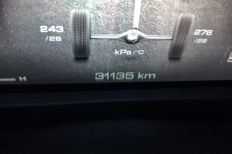 Used Tank 500 New Energy 2024 Hi4-T Odometer Close Up
