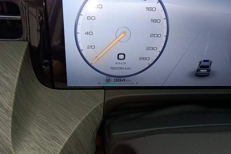 Used Tank 500 New Energy 2024 Hi4-T Odometer Close Up