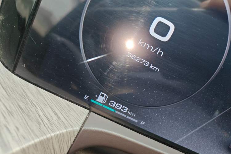 Used Tank 500 New Energy 2024 Hi4-T Odometer Close Up