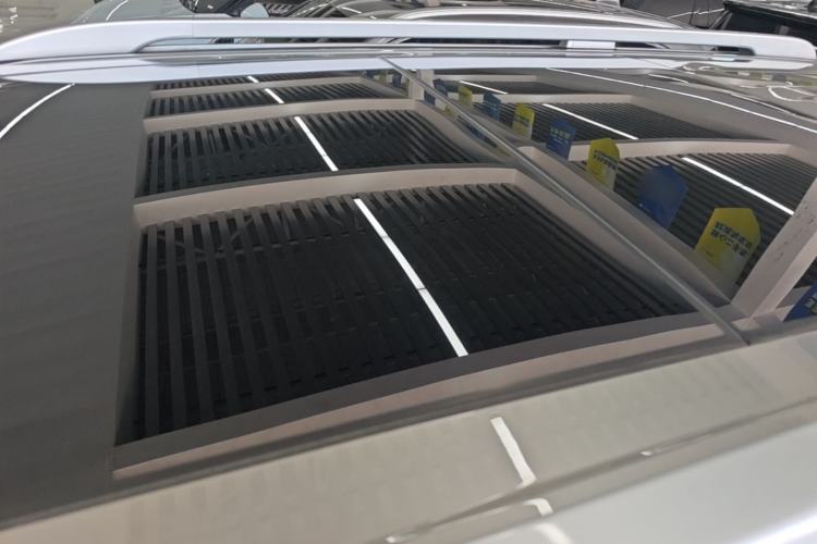Used Tank 500 New Energy 2024 Hi4-T Roof
