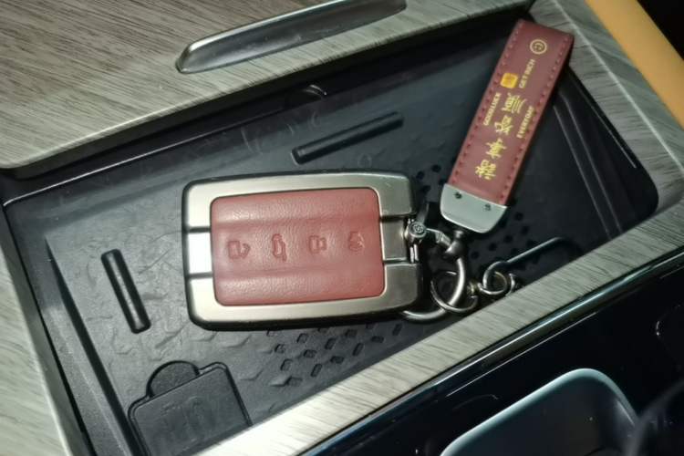 Used Tank 500 New Energy 2024 Hi4-T Vehicle Key
