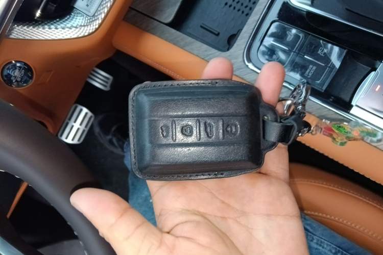 Used Tank 500 New Energy 2024 Hi4-T Vehicle Key