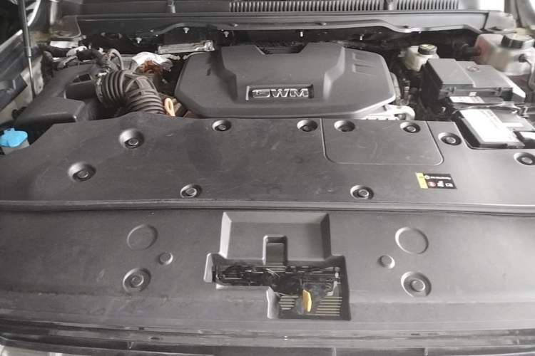 Used Tank 500 New Energy 2024 Hi4-T Engine Bay
