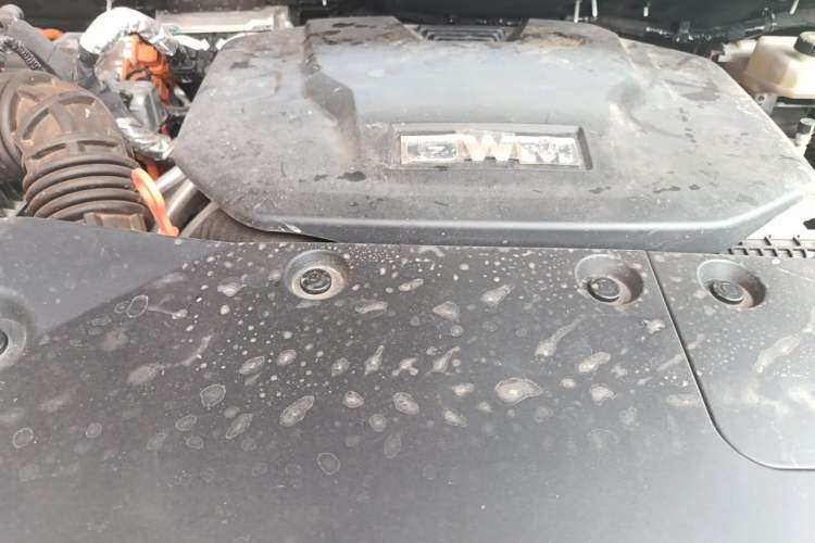 Used Tank 500 New Energy 2024 Hi4-T Engine Bay