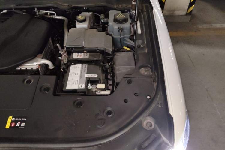 Used Tank 500 New Energy 2024 Hi4-T Engine Bay Left