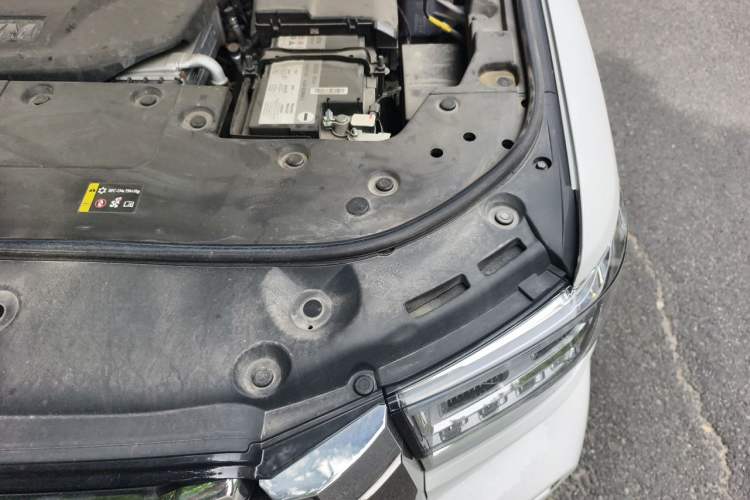 Used Tank 500 New Energy 2024 Hi4-T Engine Bay Left