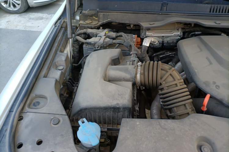Used Tank 500 New Energy 2024 Hi4-T Engine Bay Right