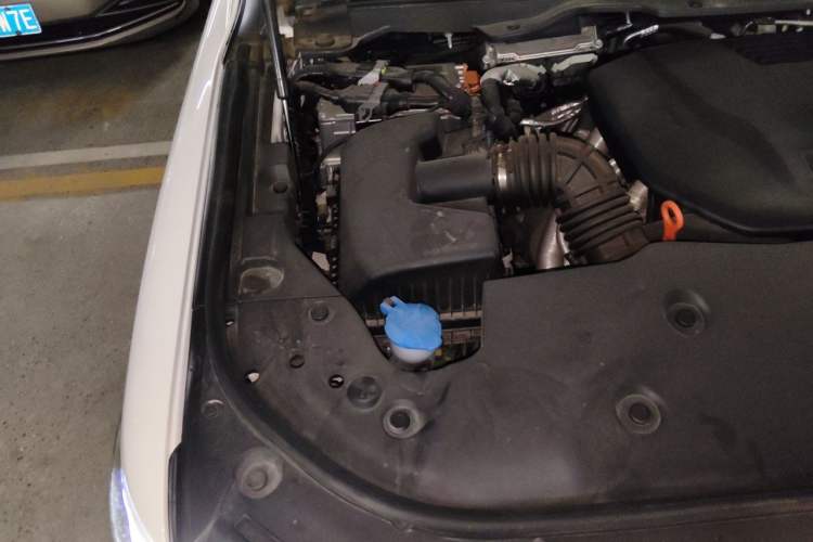 Used Tank 500 New Energy 2024 Hi4-T Engine Bay Right
