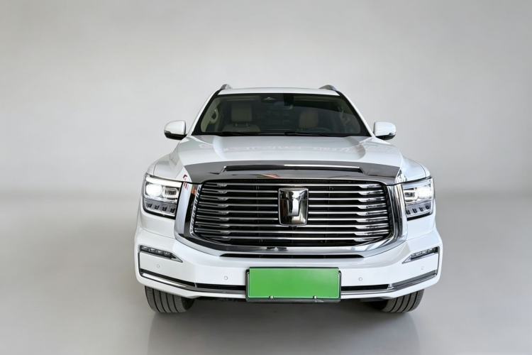 Used Tank 500 New Energy 2024 Hi4-T Exterior 5