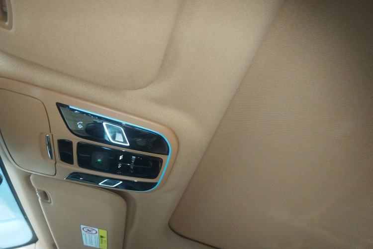 Used Tank 500 New Energy 2024 Hi4-T Headliner
