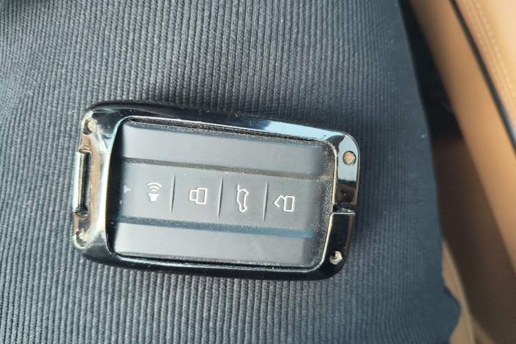 Used Tank 500 New Energy 2024 Hi4-T Interior 1