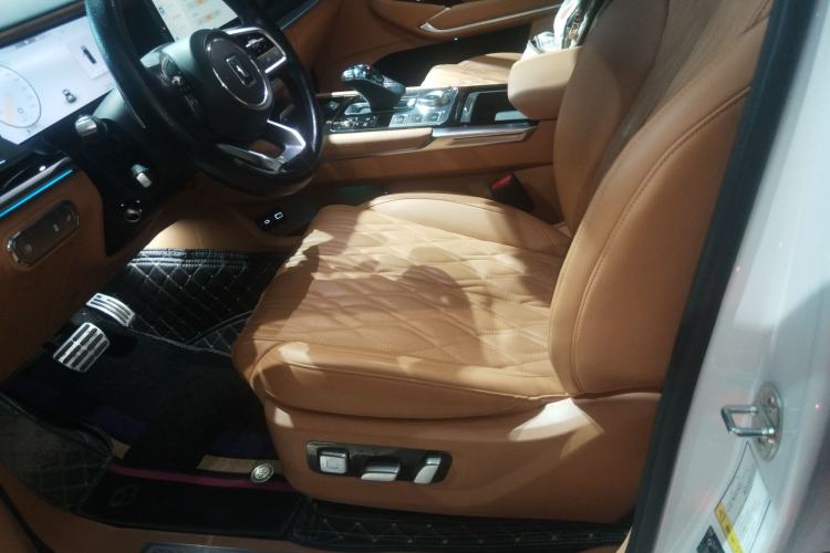 Used Tank 500 New Energy 2024 Hi4-T Left Front Seat