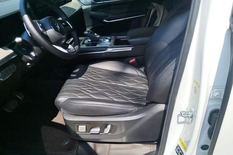 Used Tank 500 New Energy 2024 Hi4-T Left Front Seat