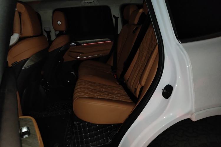 Used Tank 500 New Energy 2024 Hi4-T Left Rear Seat