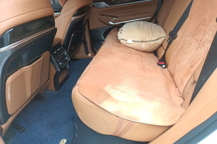 Used Tank 500 New Energy 2024 Hi4-T Left Rear Seat