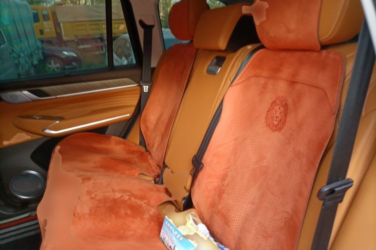 Used Tank 500 New Energy 2024 Hi4-T Left Rear Seat