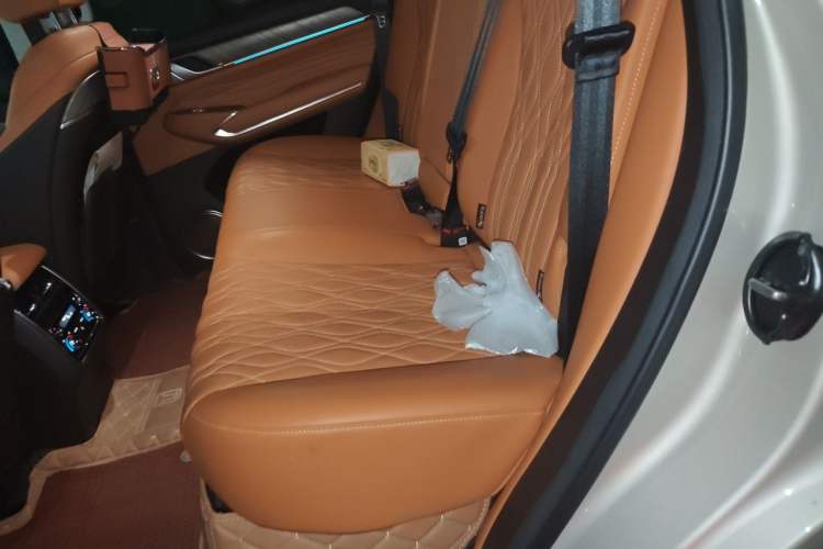 Used Tank 500 New Energy 2024 Hi4-T Left Rear Seat