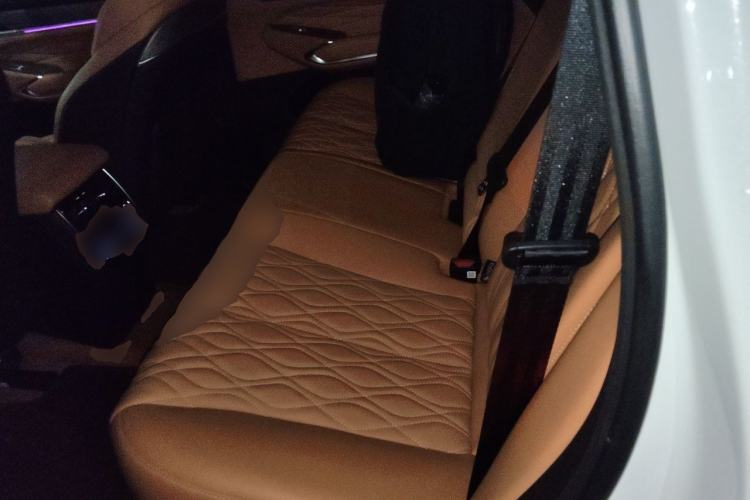 Used Tank 500 New Energy 2024 Hi4-T Left Rear Seat