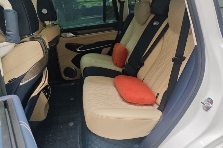 Used Tank 500 New Energy 2024 Hi4-T Left Rear Seat