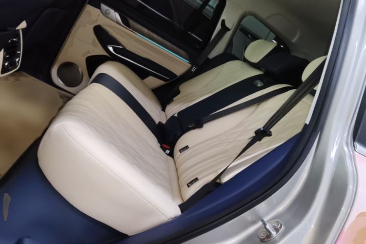 Used Tank 500 New Energy 2024 Hi4-T Left Rear Seat