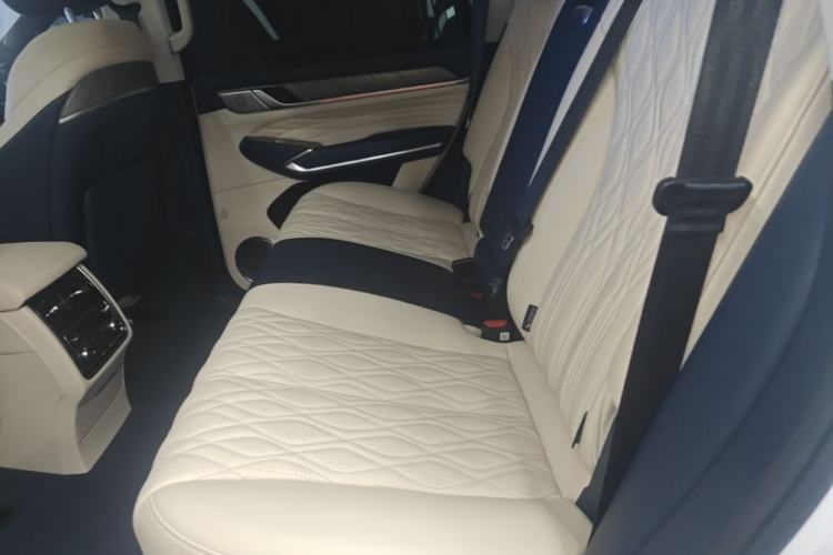 Used Tank 500 New Energy 2024 Hi4-T Left Rear Seat