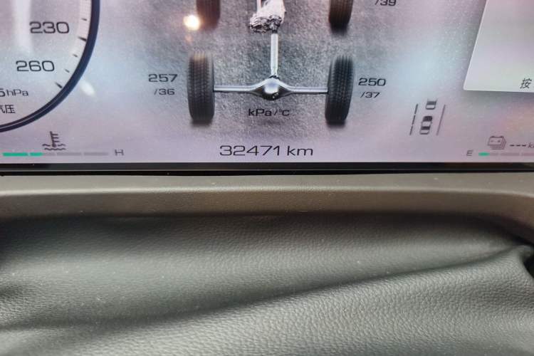 Used Tank 500 New Energy 2024 Hi4-T Odometer Close Up