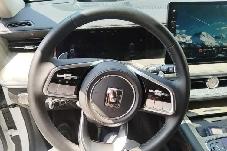 Used Tank 500 New Energy 2024 Hi4-T Steering Wheel