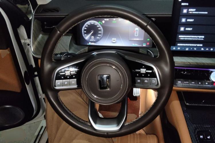 Used Tank 500 New Energy 2024 Hi4-T Steering Wheel