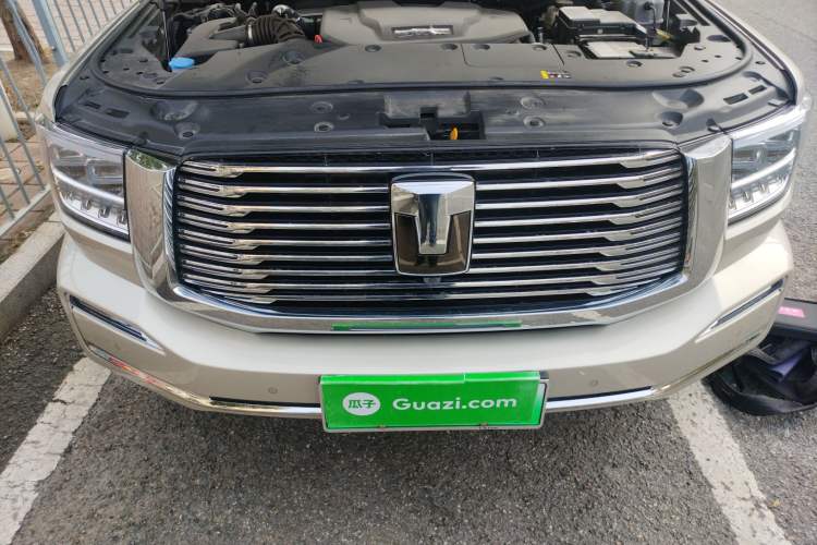 Used Tank 500 New Energy 2024 Hi4-T Engine Bay