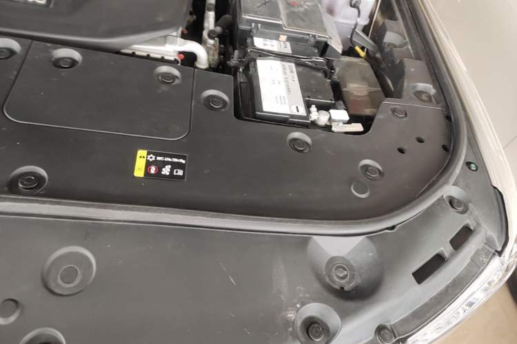 Used Tank 500 New Energy 2024 Hi4-T Engine Bay Left