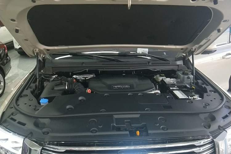 Used Tank 500 New Energy 2024 Hi4-T Engine Bay