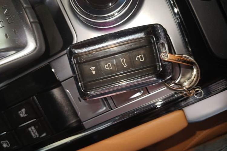 Used Tank 500 New Energy 2024 Hi4-T Interior 1