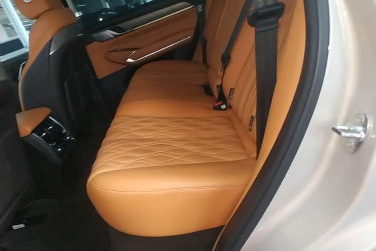 Used Tank 500 New Energy 2024 Hi4-T Left Rear Seat