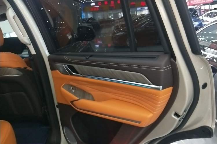 Used Tank 500 New Energy 2024 Hi4-T Right Rear Door Interior