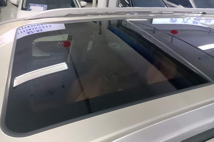 Used Tank 500 New Energy 2024 Hi4-T Roof