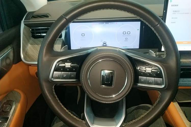 Used Tank 500 New Energy 2024 Hi4-T Steering Wheel