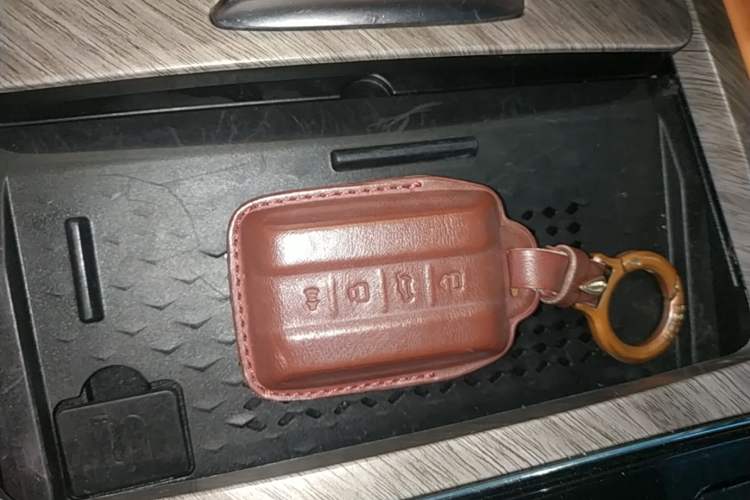 Used Tank 500 New Energy 2024 Hi4-T Vehicle Key