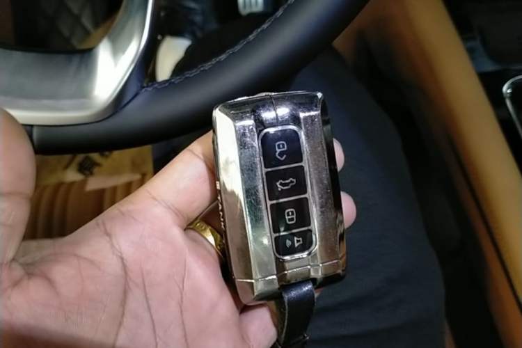 Used Tank 500 New Energy 2024 Hi4-T Vehicle Key
