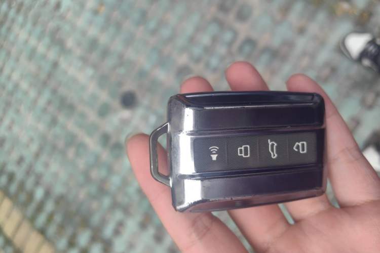 Used Tank 500 New Energy 2024 Hi4-T Vehicle Key