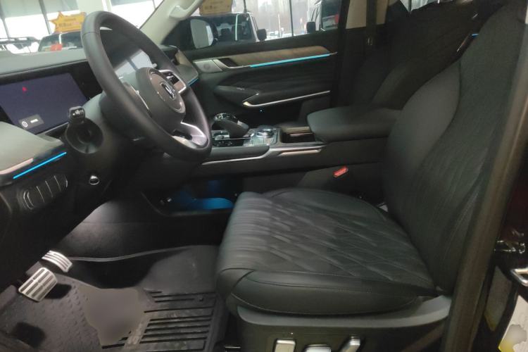Used Tank 500 New Energy 2025 Hi4-Z Left Front Seat
