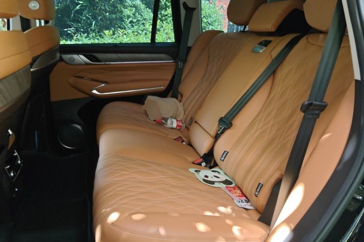 Used Tank 500 New Energy 2025 Hi4-Z Left Rear Seat