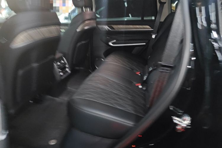 Used Tank 500 New Energy 2025 Hi4-Z Left Rear Seat