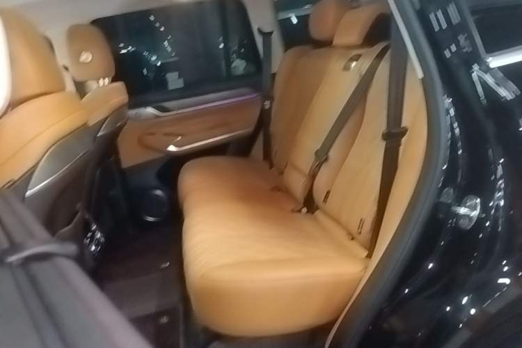 Used Tank 500 New Energy 2025 Hi4-Z Left Rear Seat