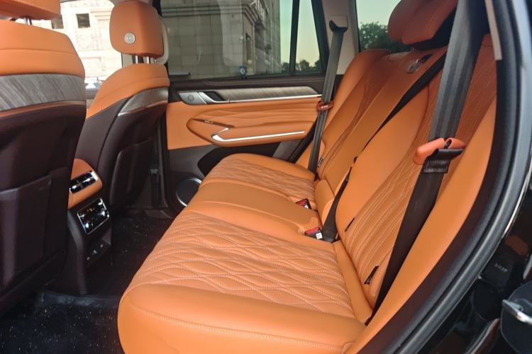 Used Tank 500 New Energy 2025 Hi4-Z Left Rear Seat