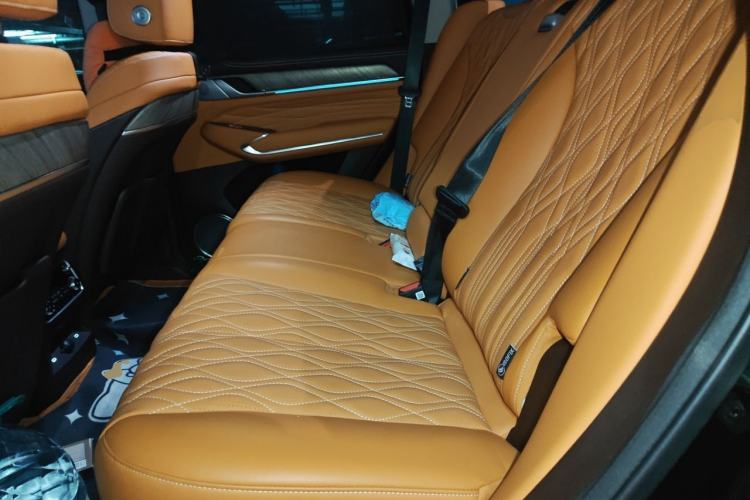 Used Tank 500 New Energy 2025 Hi4-Z Left Rear Seat