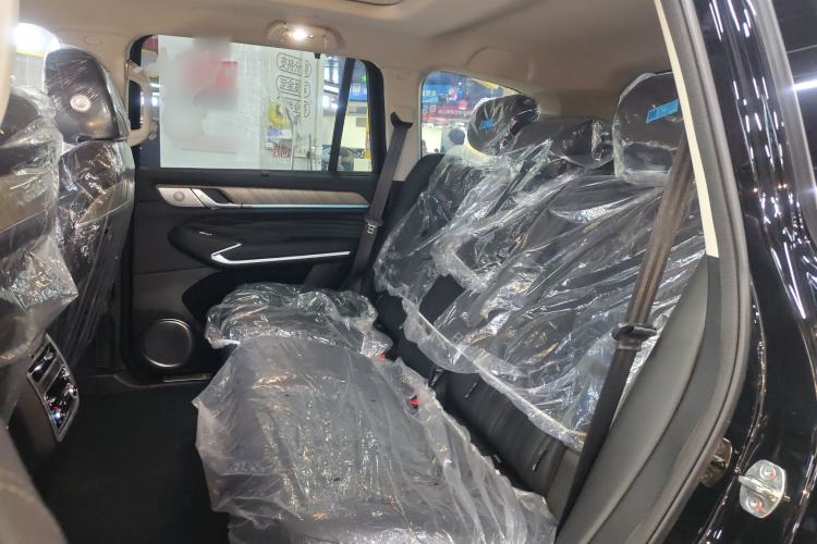Used Tank 500 New Energy 2025 Hi4-Z Left Rear Seat