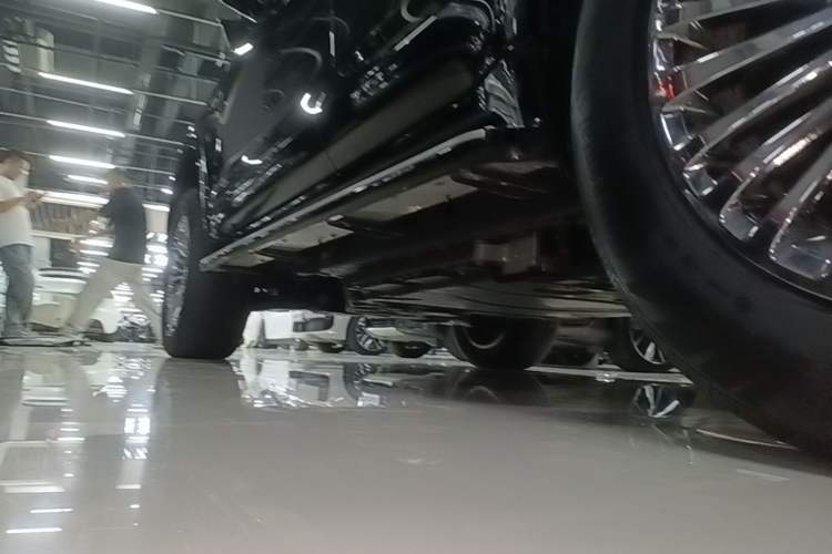 Used Tank 500 New Energy 2025 Hi4-Z Left Side Sill