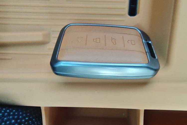 Used Tank 500 New Energy 2025 Hi4-Z Vehicle Key